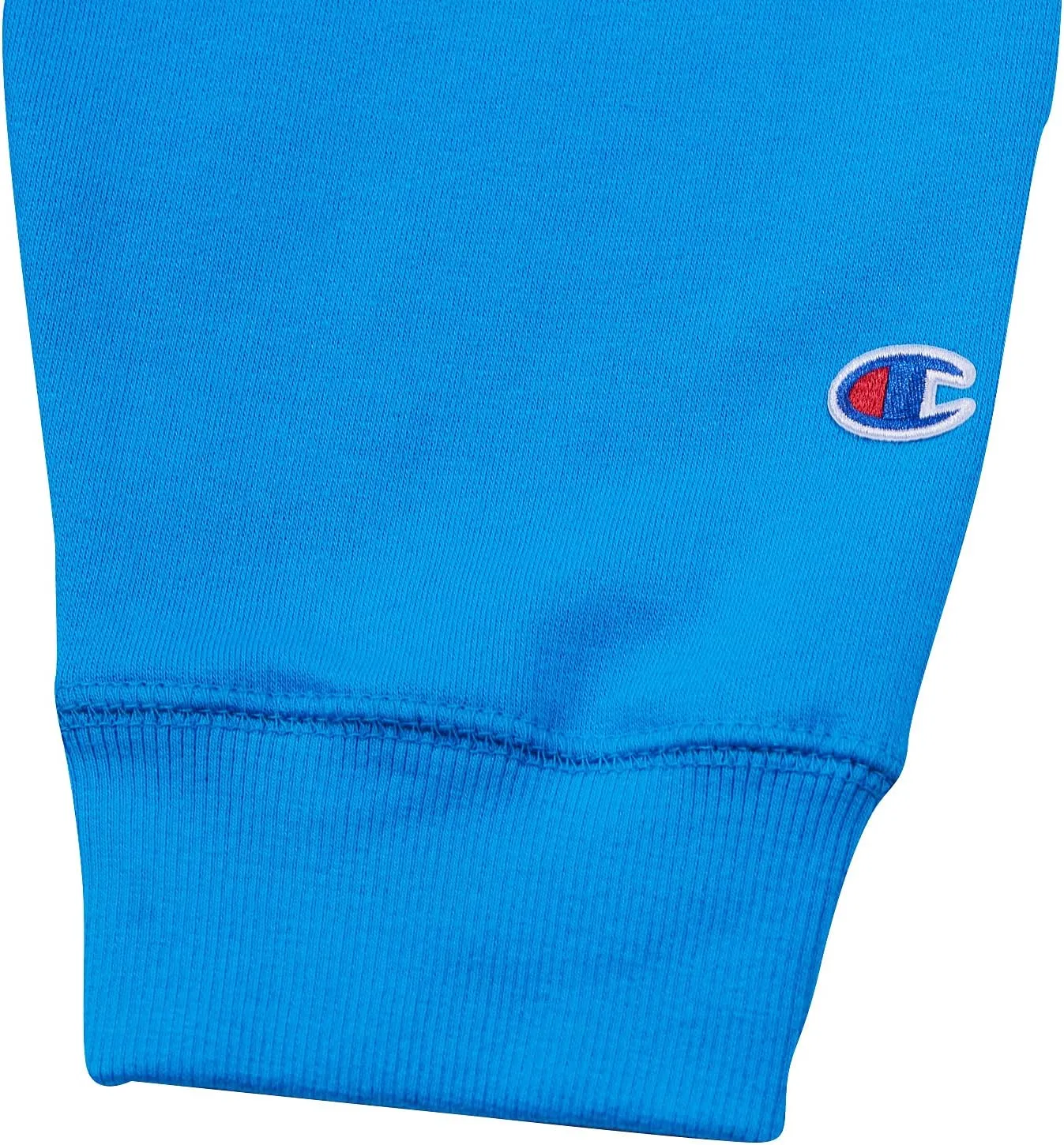 Champion Mens Hoodies Big and Tall - Embroidered Pullover Fleece Sweatshirt